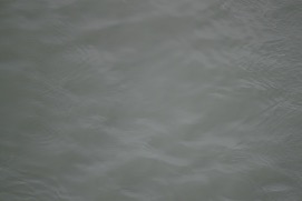 Missing Picture